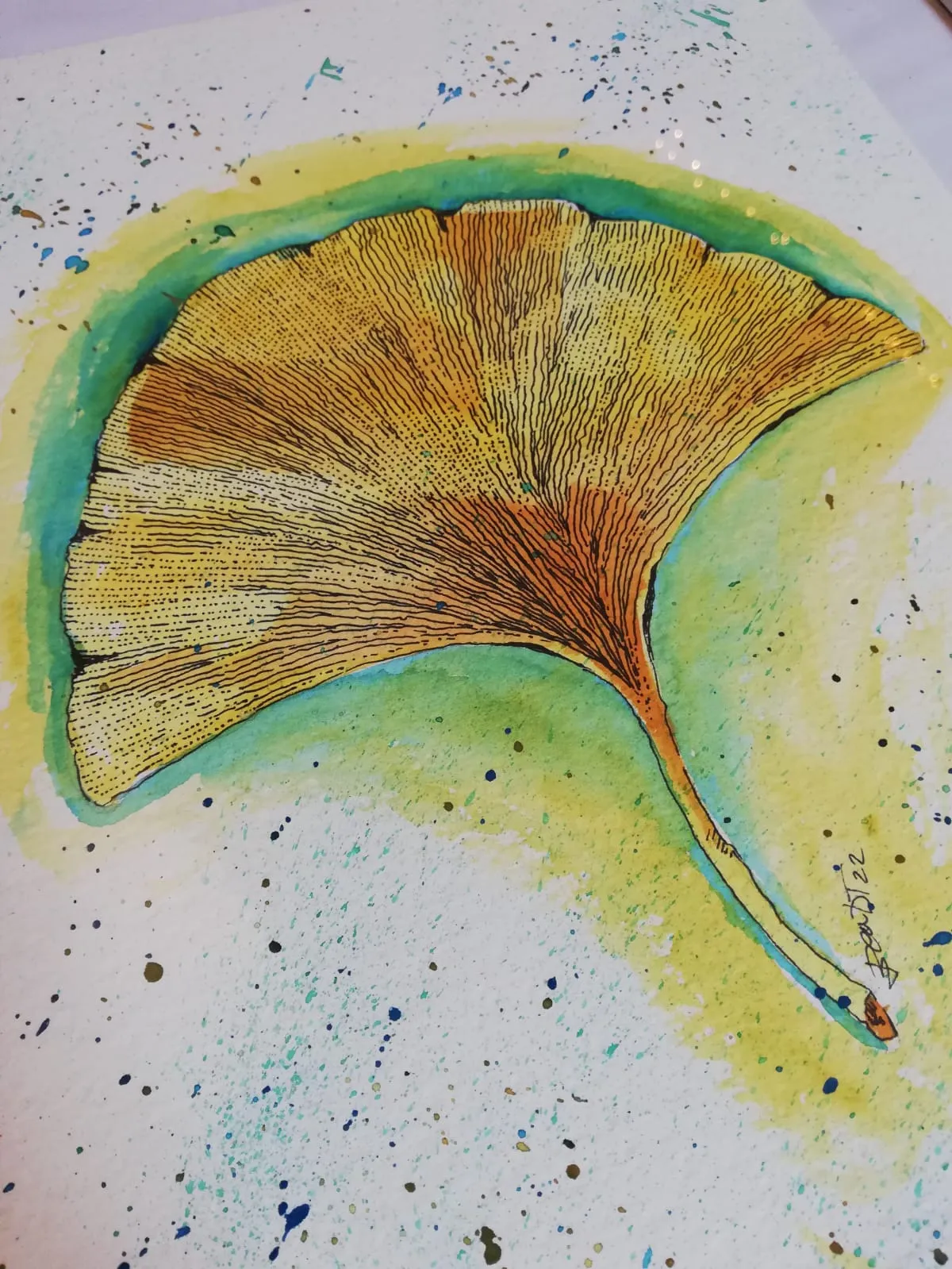 Ginkgo · Watercolour and ink on paper