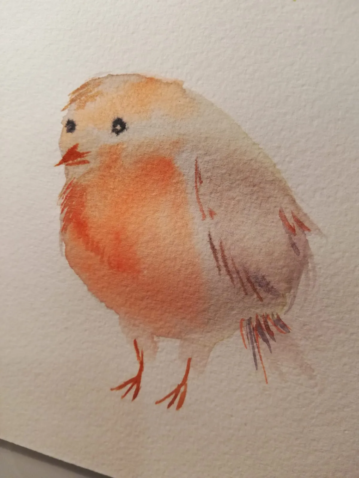Robin · Watercolour on paper